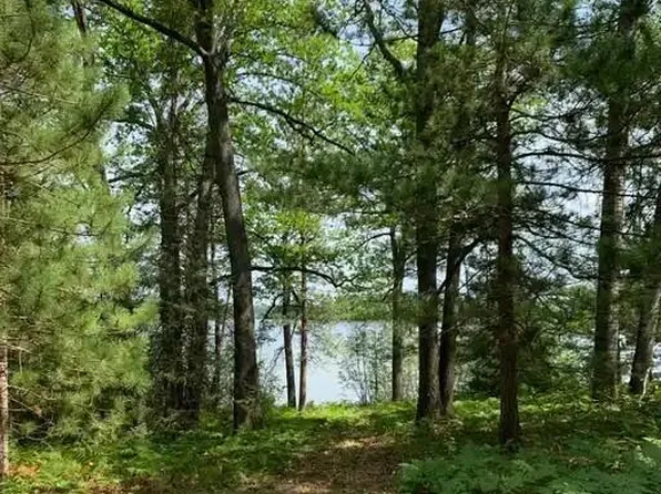 LOT 3 McCollum Lake Rd, Curran, MI 48728