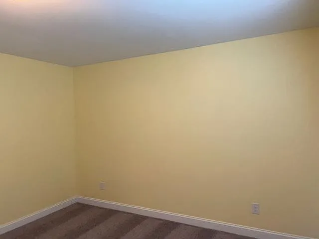 224 Green Trees Dr — Photo 23