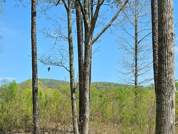 5th image of LOT 209 Oak Park Dr