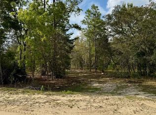 9551 NE 75th St, Bronson, FL 32621