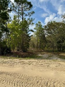 9551 NE 75th St, Bronson, FL, 32621