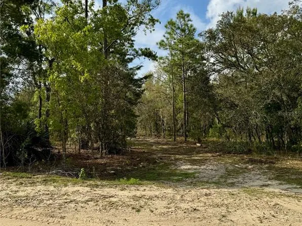 9551 NE 75th St, Bronson, FL 32621