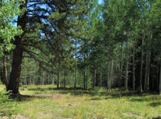 202 Hazel Lake Dr, Cimarron, CO 81220