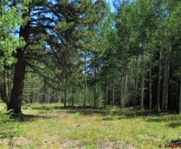 202 Hazel Lake Drive, Cimarron, CO, 81220