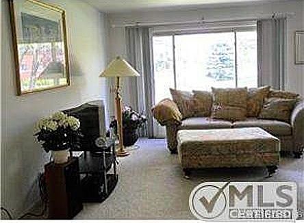 Condo Pics_Airy and Natural Light_Pic 3