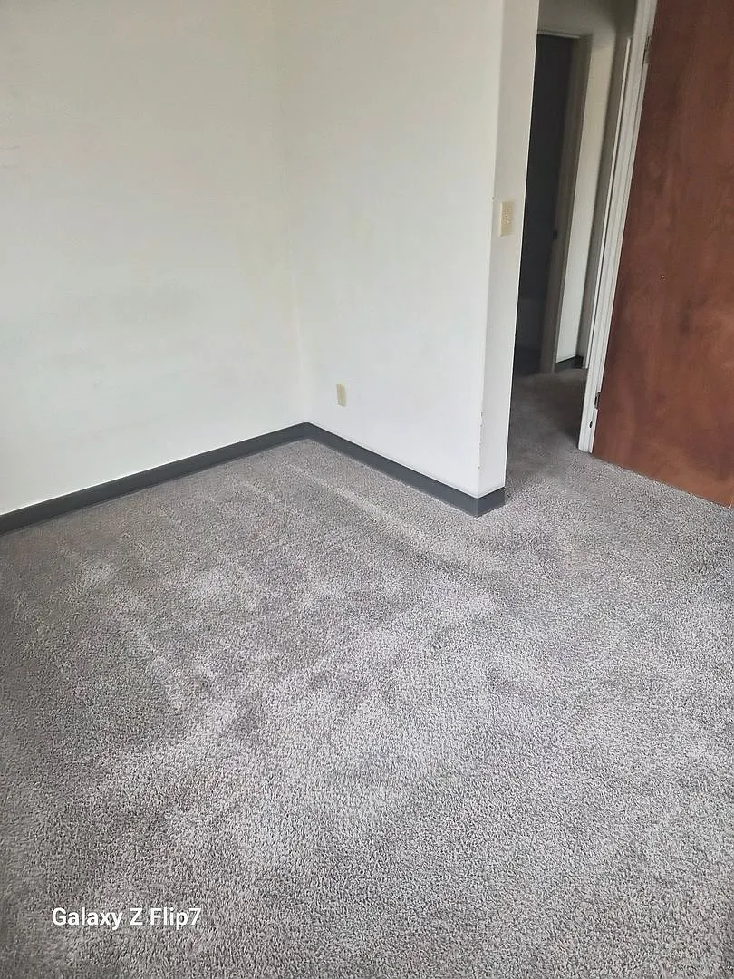 Del Rose — Photo 2