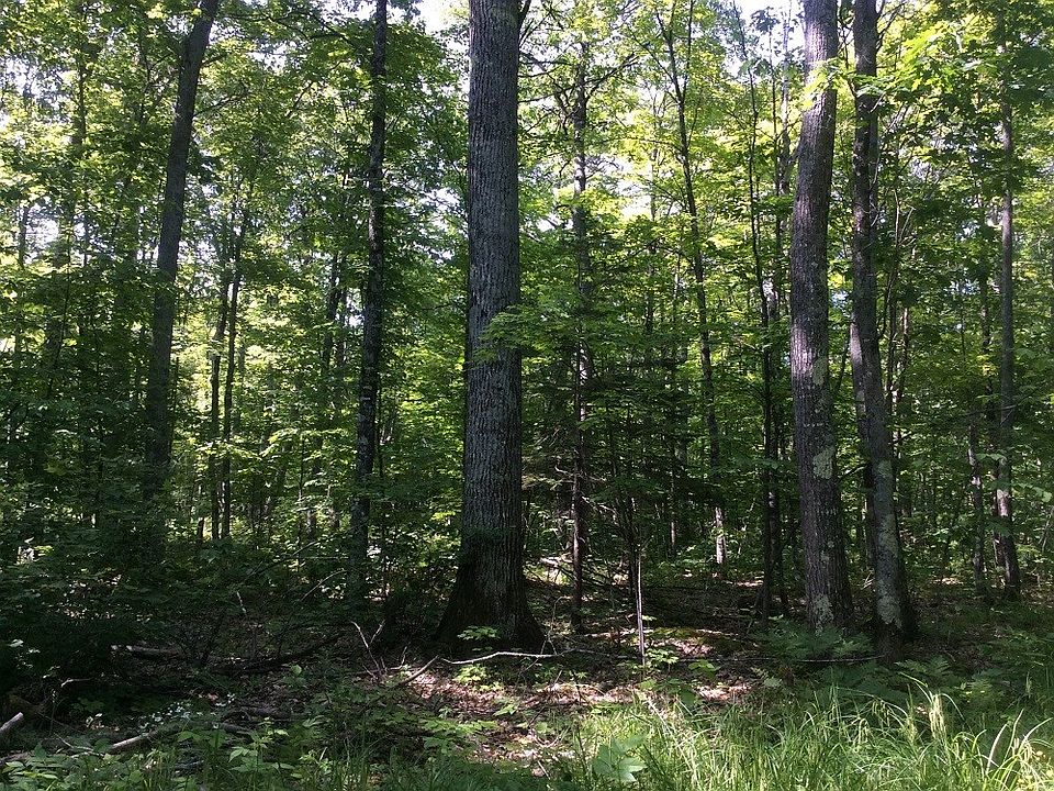 1st image of Near Half Mile Road