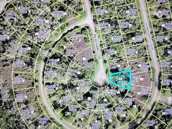 1826 Merchant Cir, Lehigh Acres, FL 33972