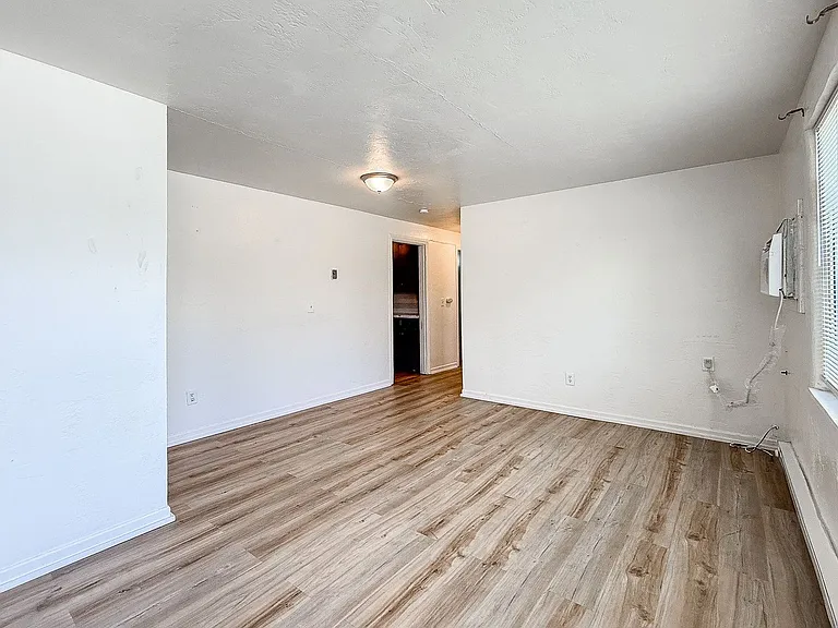Clark Street Fiveplex — Photo 4