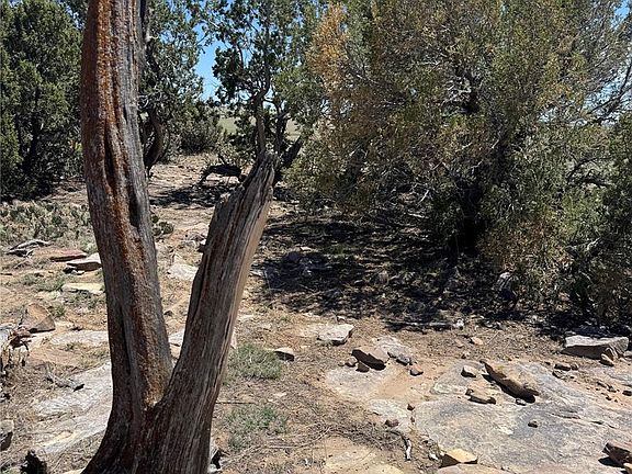 5th image of 169 Tyrone Hills LOT 169