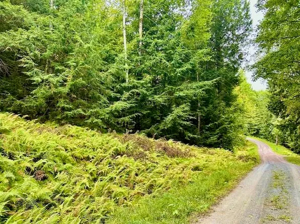 Longfellow Road #4, Haverhill, NH 03785