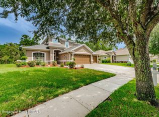 4599 Birchfield Loop, Spring Hill, FL 34609