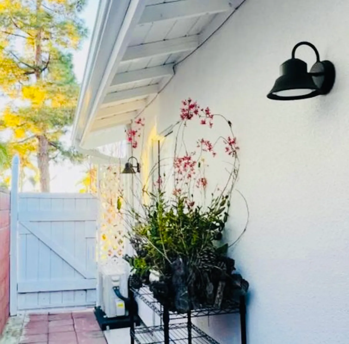 1 bed, 340 sqft, $1,800 — Photo 4