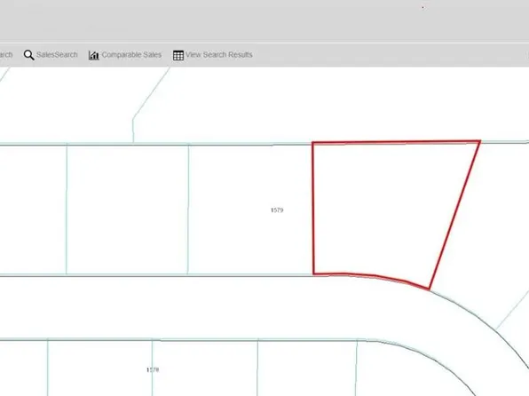 16535 SE 100TH PLACE LOT 19, OCKLAWAHA, FL 32179
