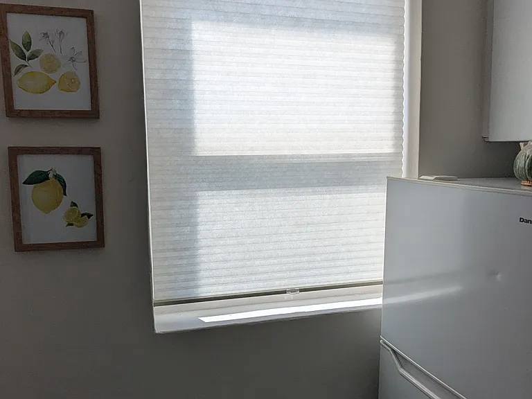 135 Oak St #3 — Photo 7