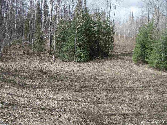 3rd image of N Swan Rd