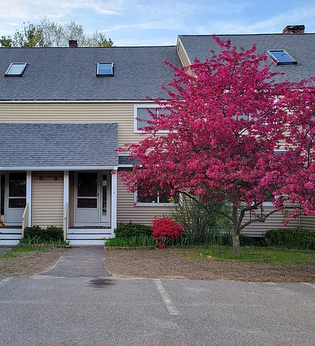 162 Ayer Rd #F Photo 1