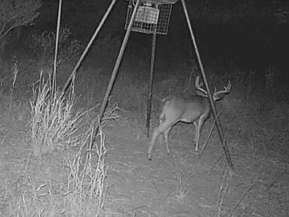 4th image of 546 County Road 230