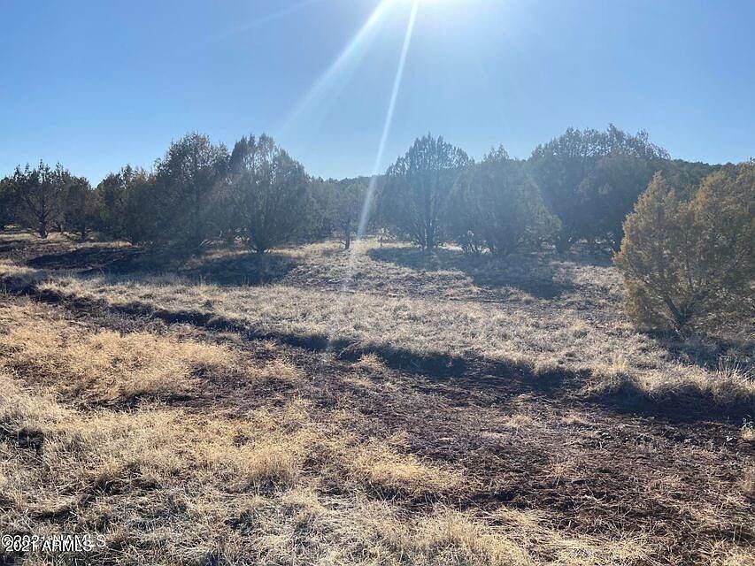 2nd image of 5396 N Leo Dr Lot 85