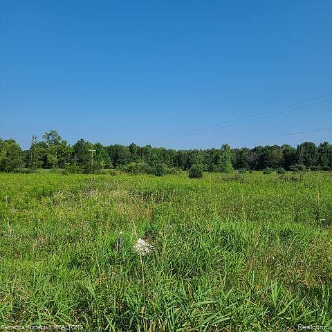 2nd image of 7 Mile Rd