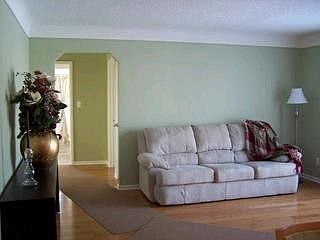 Coved Wet Plaster