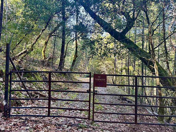 2nd image of Out 16n01 Forest Rd