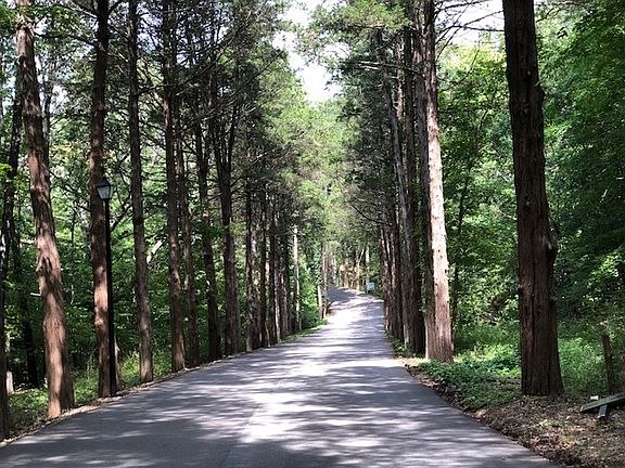 Amazing Views Upon Entry