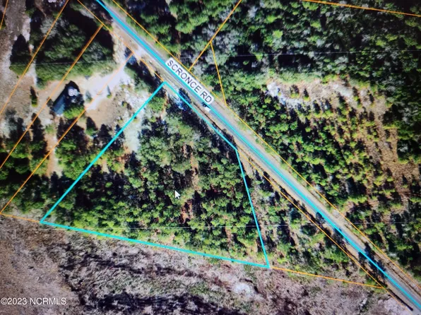 0 Scronce Road, Harrells, NC 28444
