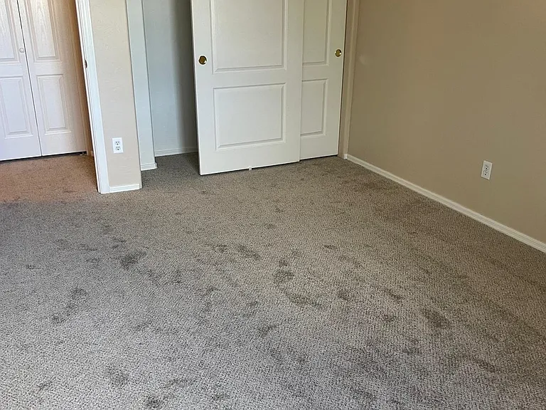 12777 N Lantern Way — Photo 19