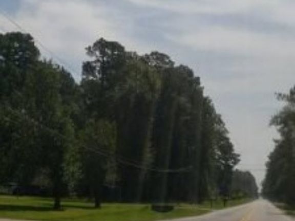 Exterior Neighborhood (street photo)