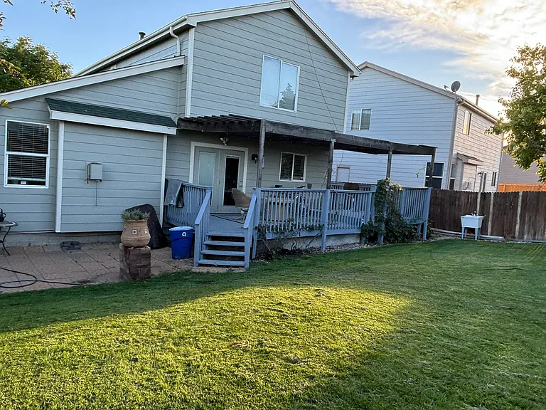 Back Yard