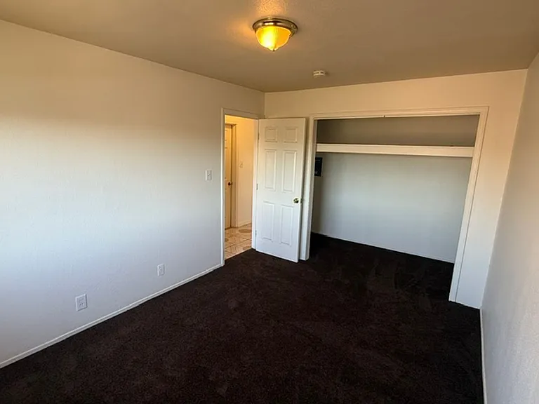 Bush Ave, 2114 — Photo 11