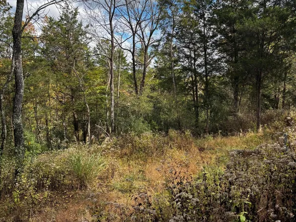 LOT-247A Tim Tam Rd, Bagdad, KY 40003