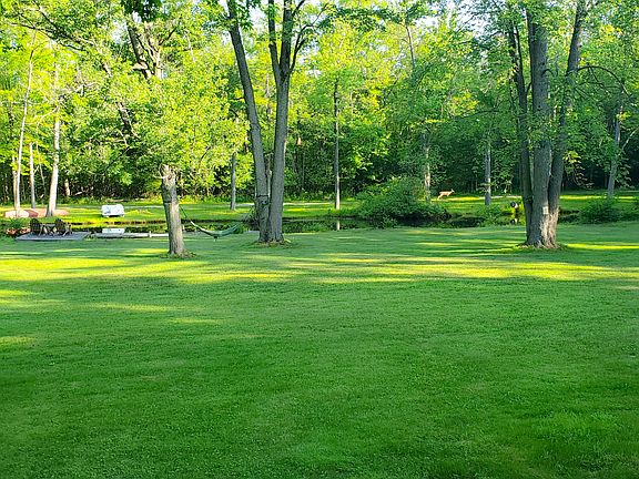 Large Backyard