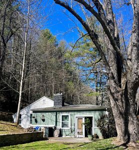 7081 Bearwallow Mountain Rd, Gerton, NC, 28735