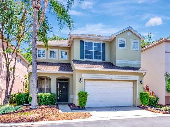 10501 Dotham Ct, Tampa, FL 33626