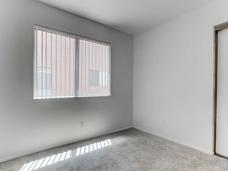 4579 Canna Dr — Photo 24