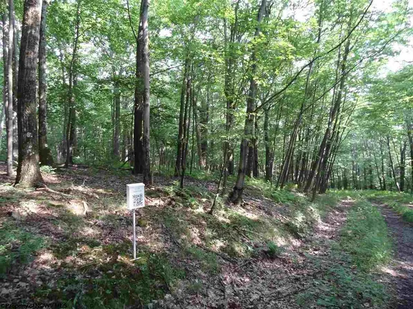 Flicker Ct, Terra Alta, WV 26764