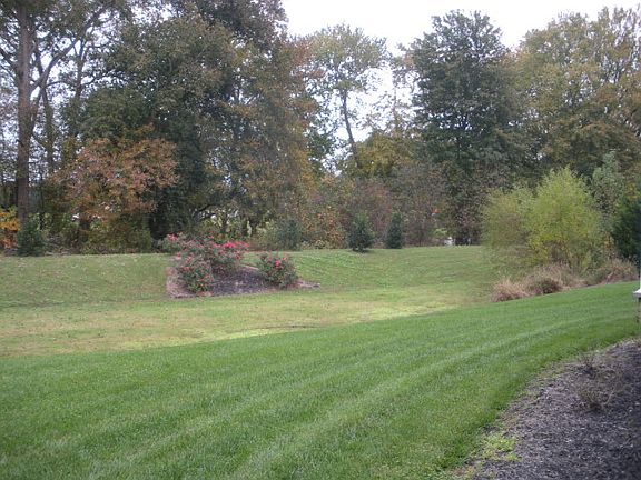 3rd image of 36 Sandy Branch Dr