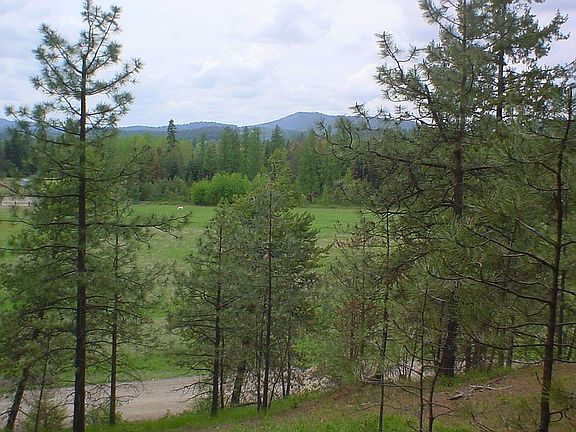 View from hill w/in boundary