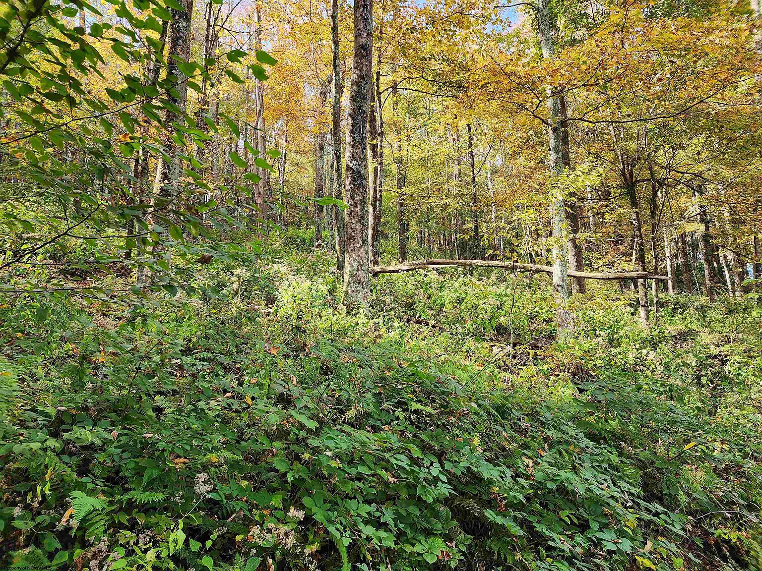 TRACT 39 Rocky Rd, Harman, WV 26270 MLS 10151388 Zillow