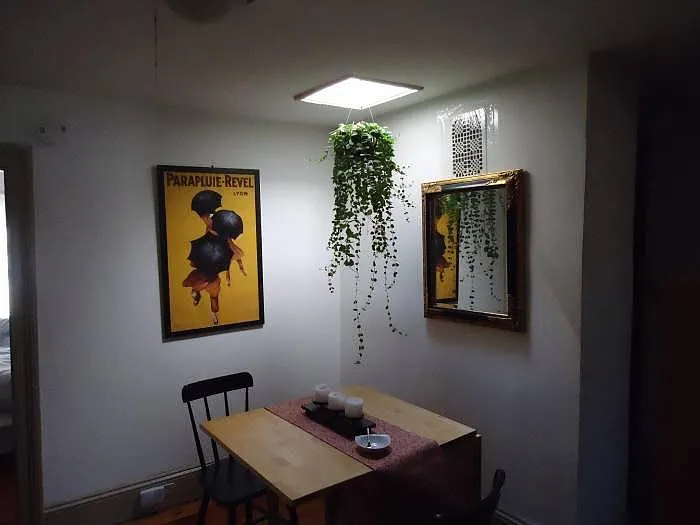 1 bed, 700 sqft, $1,850 — Photo 4