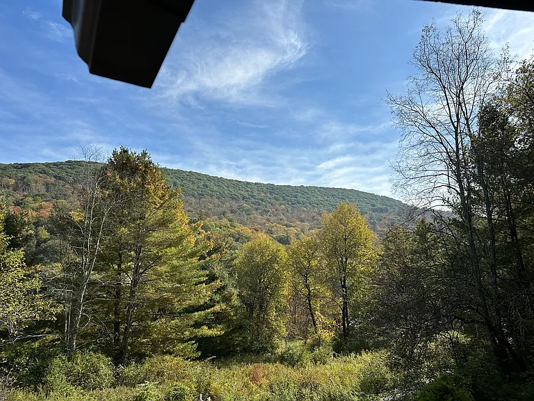 Summertime view of Woodland Valley from Grandview Cabin's open deck.