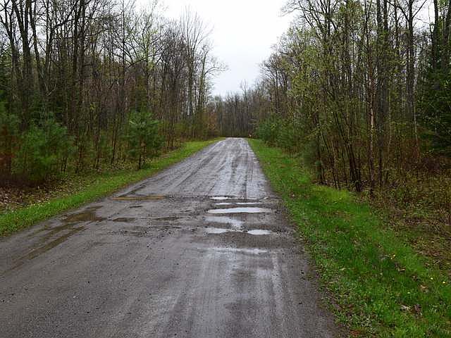 2nd image of Sweet Fern Ln Lot 1