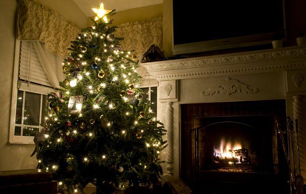 Fireplace - living room