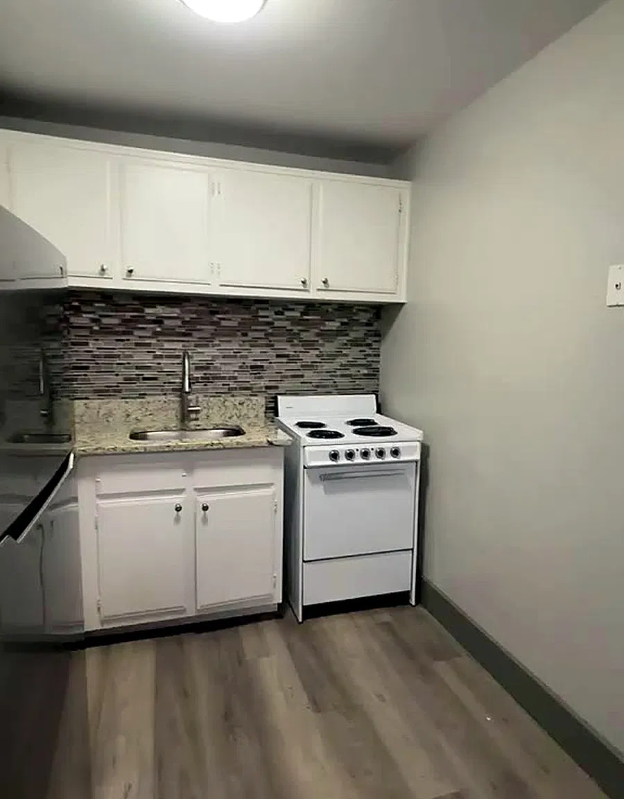1 bed, 650 sqft, $1,250 — Photo 3
