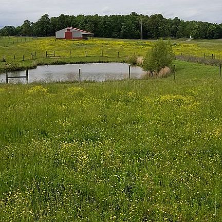 Stocked pond, fenced