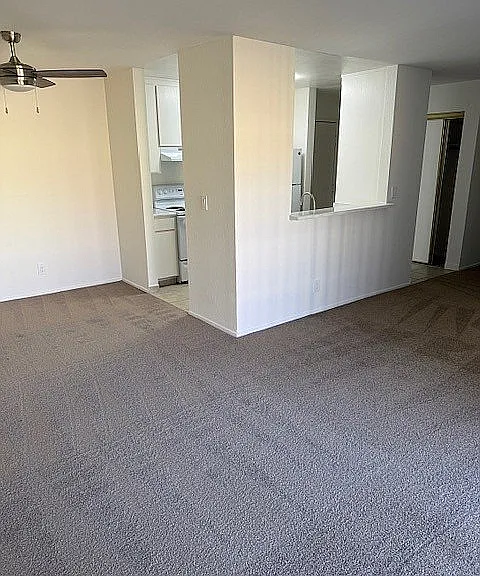 WB-203 dining room carpet
