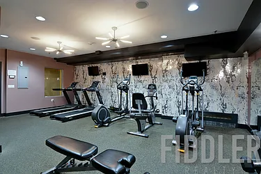 Rented by Fiddler Realty