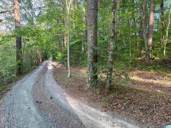 6446 Trussville Clay Rd #6446, Trussville, AL 35173